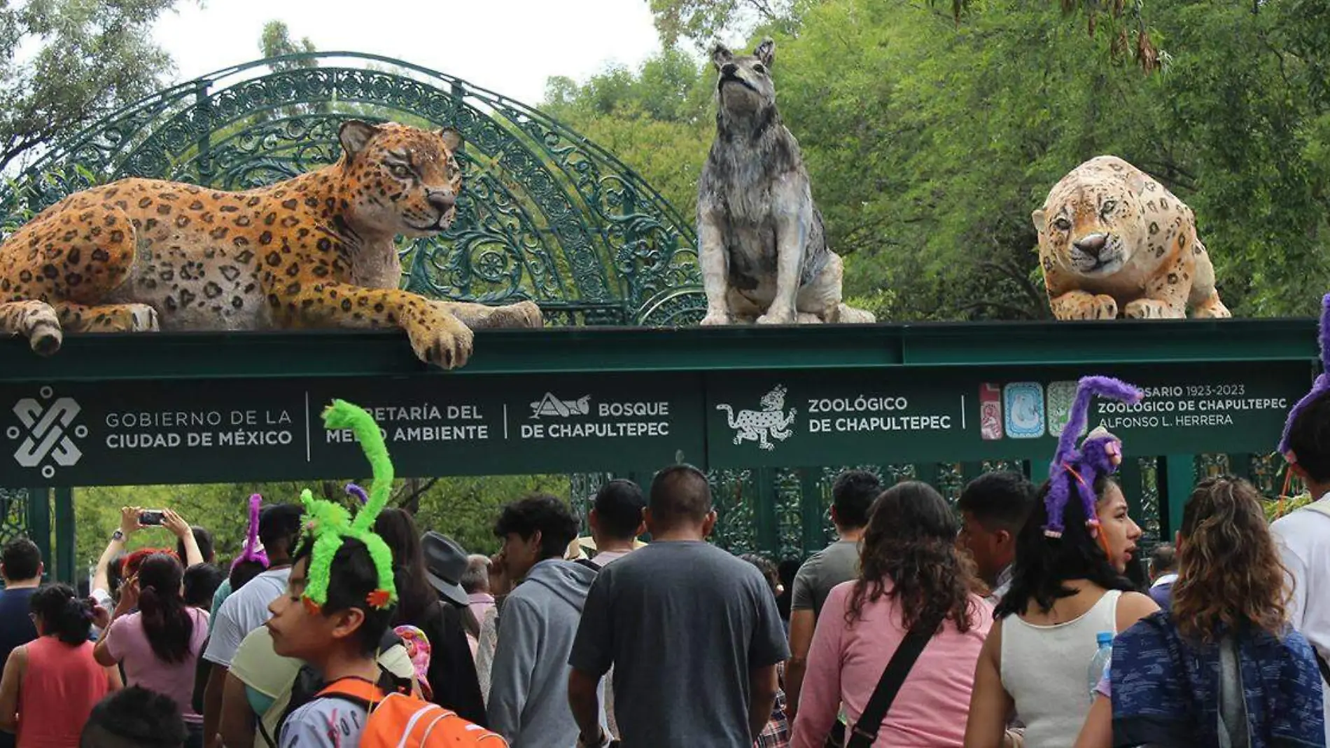 Dentro de los lugares más icónicos de la Ciudad de México se encuentra el Zoológico de Chapultepec